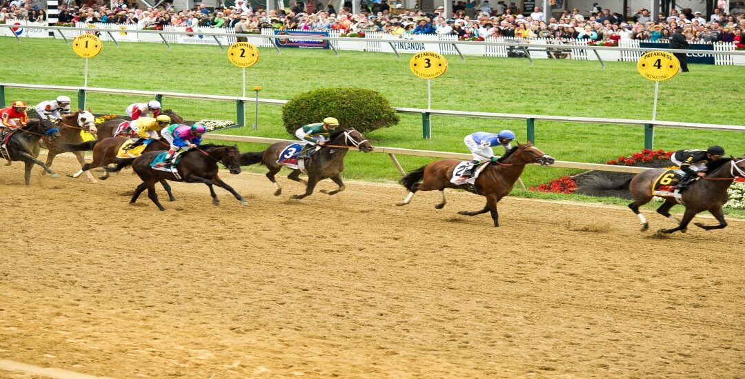 The Lowdown on the 2023 Preakness Stakes